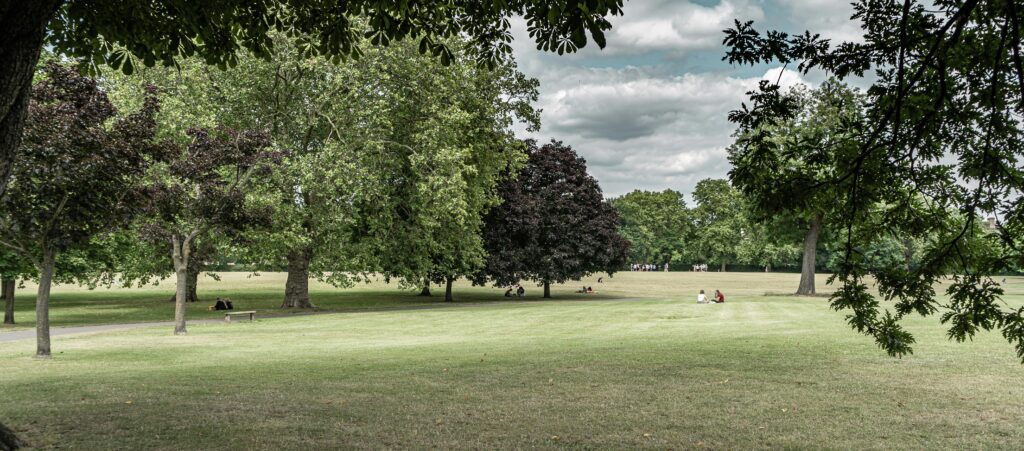 Family enjoying outdoor picnic on grass representing zero budget family adventure and quality time